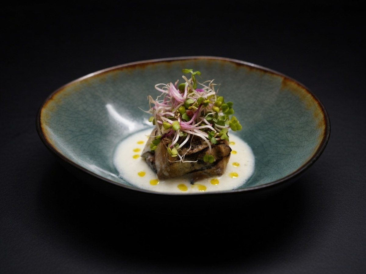 Gegrilde aubergine met kiemgroenten